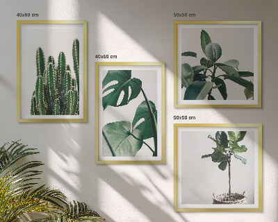 Ensemble de 4 tableaux Esthétique des plantes tropicales