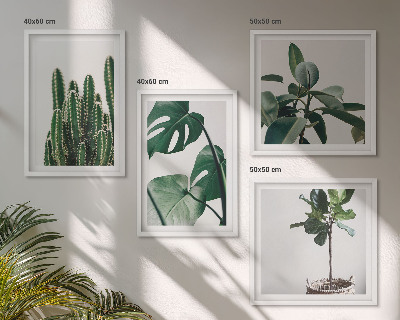 Ensemble de 4 tableaux Esthétique des plantes tropicales