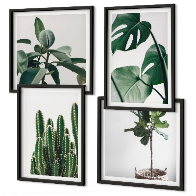 Ensemble de 4 tableaux Esthétique des plantes tropicales