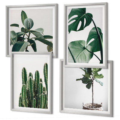 Ensemble de 4 tableaux Esthétique des plantes tropicales