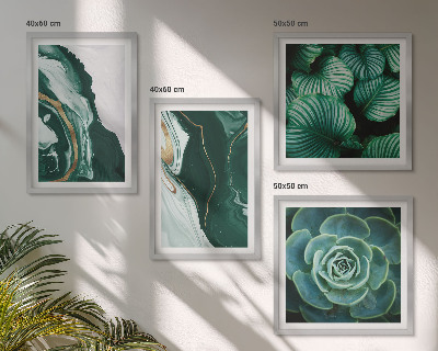 Mur de tableaux Motifs abstraits de feuilles succulentes