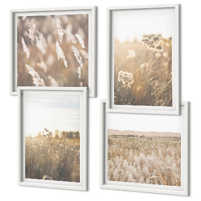 Mur de tableaux Paysage herbe fleurs chaleur
