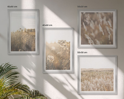 Mur de tableaux Paysage herbe fleurs chaleur