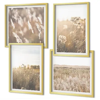 Mur de tableaux paysage de fleurs dans les herbes sous la chaleur