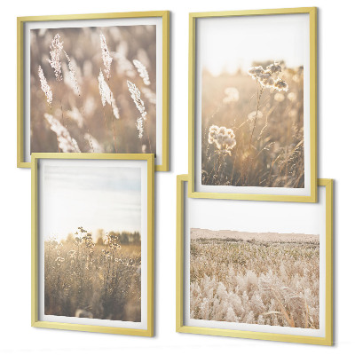 Mur de tableaux Paysage herbe fleurs chaleur