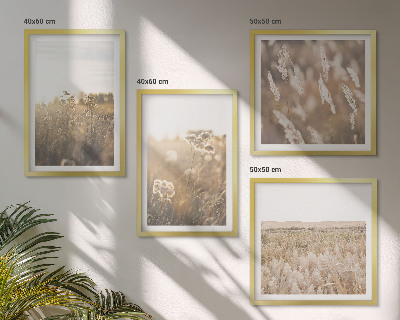 Mur de tableaux Paysage herbe fleurs chaleur