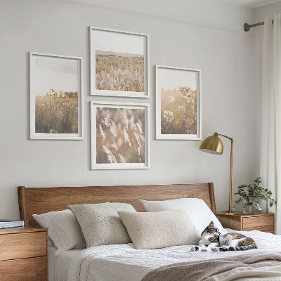 Mur de tableaux Paysage herbe fleurs chaleur