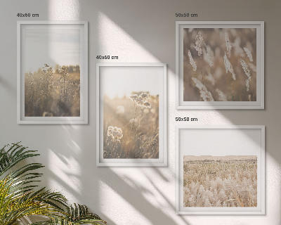 Mur de tableaux Paysage herbe fleurs chaleur