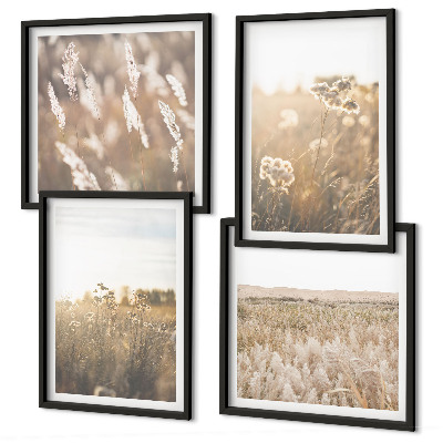 Mur de tableaux Paysage herbe fleurs chaleur