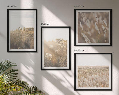 Mur de tableaux Paysage herbe fleurs chaleur
