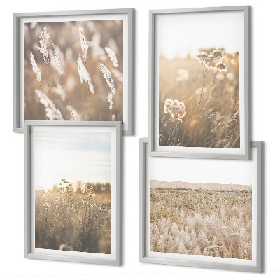 Mur de tableaux Paysage herbe fleurs chaleur
