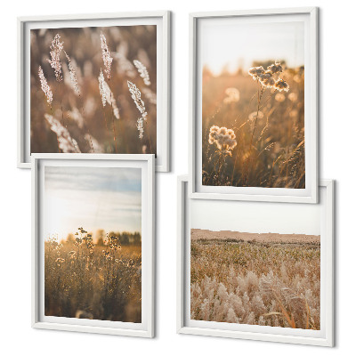 Ensemble de 4 tableaux Fleurs des prairies d'été coucher de soleil