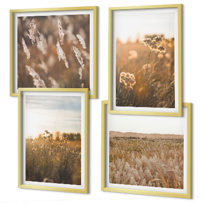Ensemble de 4 tableaux Fleurs des prairies d'été coucher de soleil