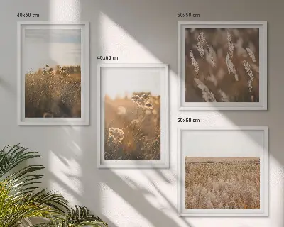 Ensemble de 4 tableaux Fleurs des prairies d'été au coucher de soleil ensemble de 4 tableaux motif fleurs des prairies d'été au coucher de soleil
