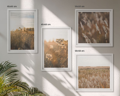 Ensemble de 4 tableaux Fleurs des prairies d'été coucher de soleil
