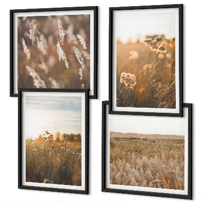 Ensemble de 4 tableaux Fleurs des prairies d'été coucher de soleil