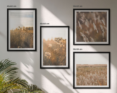 Ensemble de 4 tableaux Fleurs des prairies d'été coucher de soleil