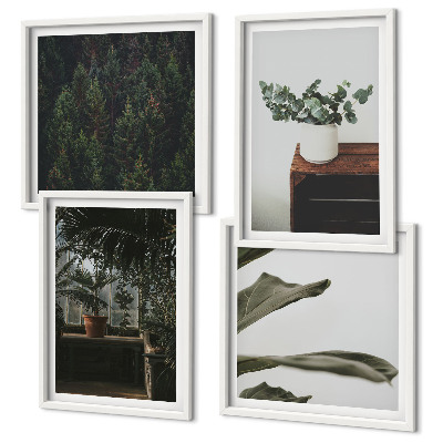 Ensemble de 4 tableaux Plantes rustiques en pot