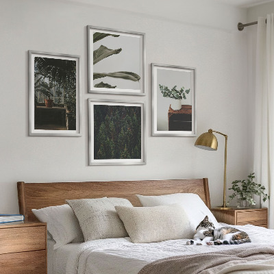 Ensemble de 4 tableaux Plantes rustiques en pot