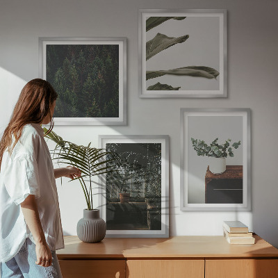 Ensemble de 4 tableaux Plantes rustiques en pot