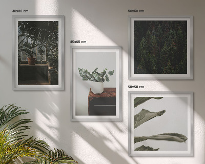 Ensemble de 4 tableaux Plantes rustiques en pot