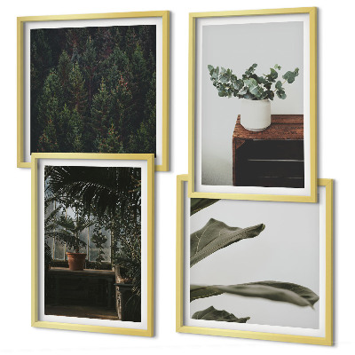 Ensemble de 4 tableaux Plantes rustiques en pot
