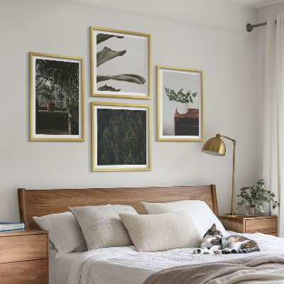 Ensemble de 4 tableaux Plantes rustiques en pot