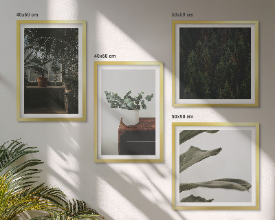 Ensemble de 4 tableaux Plantes rustiques en pot