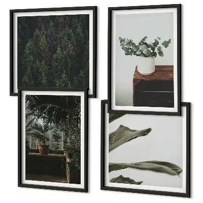 Plantes rustiques en pot ensemble de 4 tableaux
