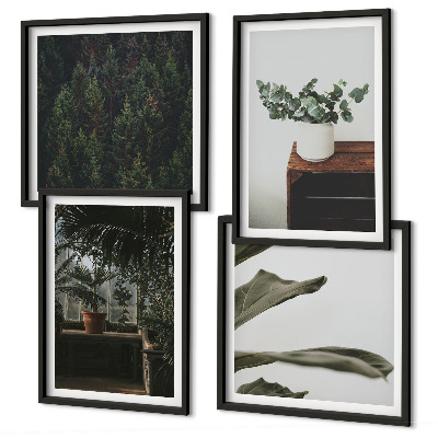 Ensemble de 4 tableaux Plantes rustiques en pot