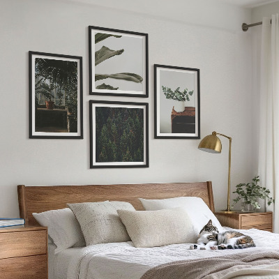 Ensemble de 4 tableaux Plantes rustiques en pot