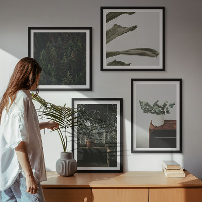 Ensemble de 4 tableaux Plantes rustiques en pot