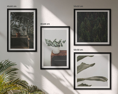 Ensemble de 4 tableaux Plantes rustiques en pot