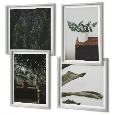 Plantes rustiques en pot ensemble de 4 tableaux