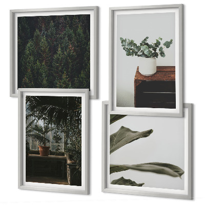 Ensemble de 4 tableaux Plantes rustiques en pot