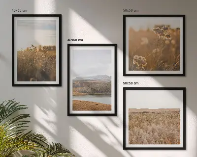 Ensemble de 4 tableaux paysages de montagnes, prairies et lac