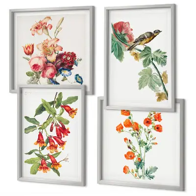 Ensemble de 4 tableaux motif oiseau rétro à fleurs peintes