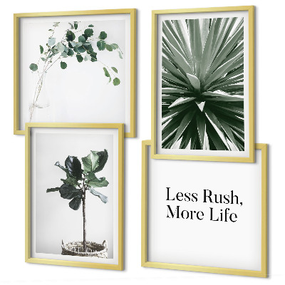 Mur de tableaux Minimalisme des plantes vertes