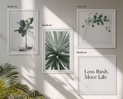 Mur de tableaux Minimalisme des plantes vertes