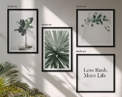 Mur de tableaux Minimalisme des plantes vertes