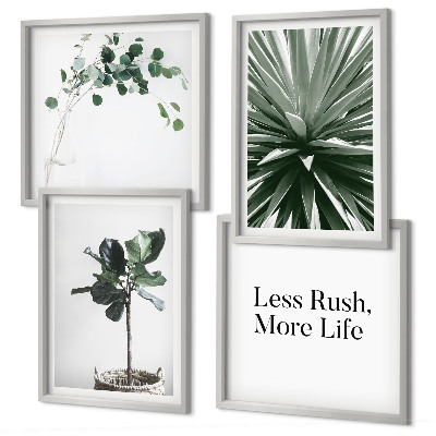 Mur de tableaux Minimalisme des plantes vertes