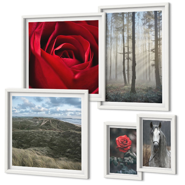 Ensemble de 5 tableaux Fleurs naturelles de styles différents