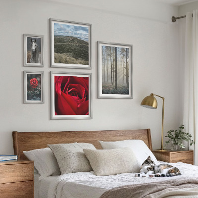 Ensemble de 5 tableaux Fleurs naturelles de styles différents