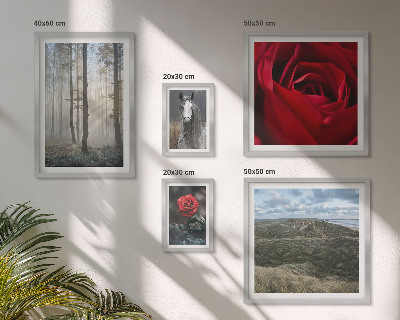 Ensemble de 5 tableaux Fleurs naturelles de styles différents