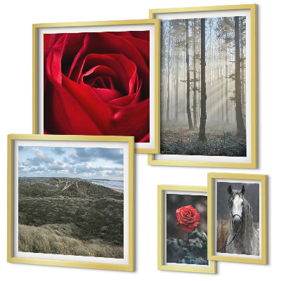 Ensemble de 5 tableaux Fleurs naturelles de styles différents