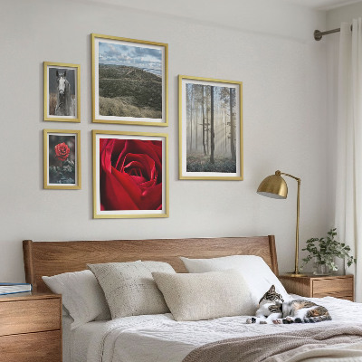 Ensemble de 5 tableaux Fleurs naturelles de styles différents