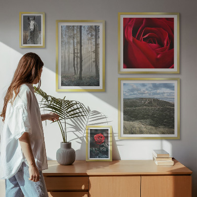 Ensemble de 5 tableaux Fleurs naturelles de styles différents