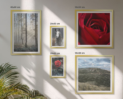 Ensemble de 5 tableaux Fleurs naturelles de styles différents