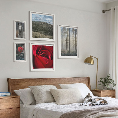 Ensemble de 5 tableaux Fleurs naturelles de styles différents