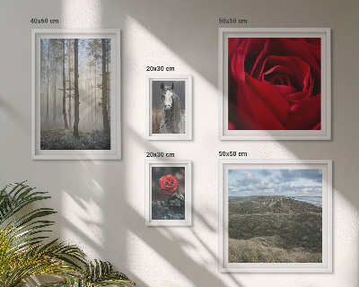 Ensemble de 5 tableaux Fleurs naturelles de styles différents